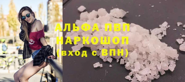 сатива Алзамай