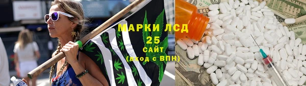сатива Алзамай