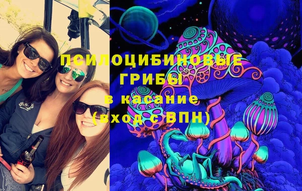 сатива Алзамай