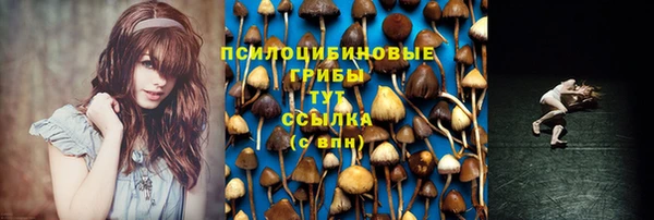 кокс Алексин