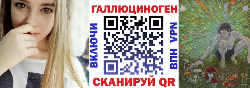мориарти клад Орёл Псилоцибиновые грибы Cubensis